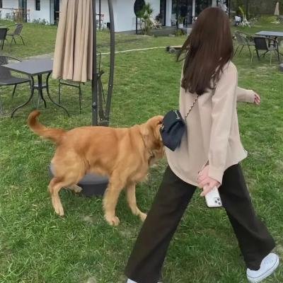失落的毕业生